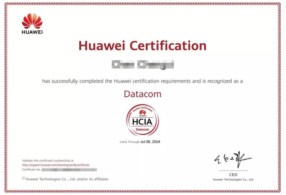 HCIA(图1)